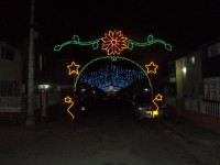 /album/fotogaleria/a299930-10151273806597305-1324553926-n-jpg/